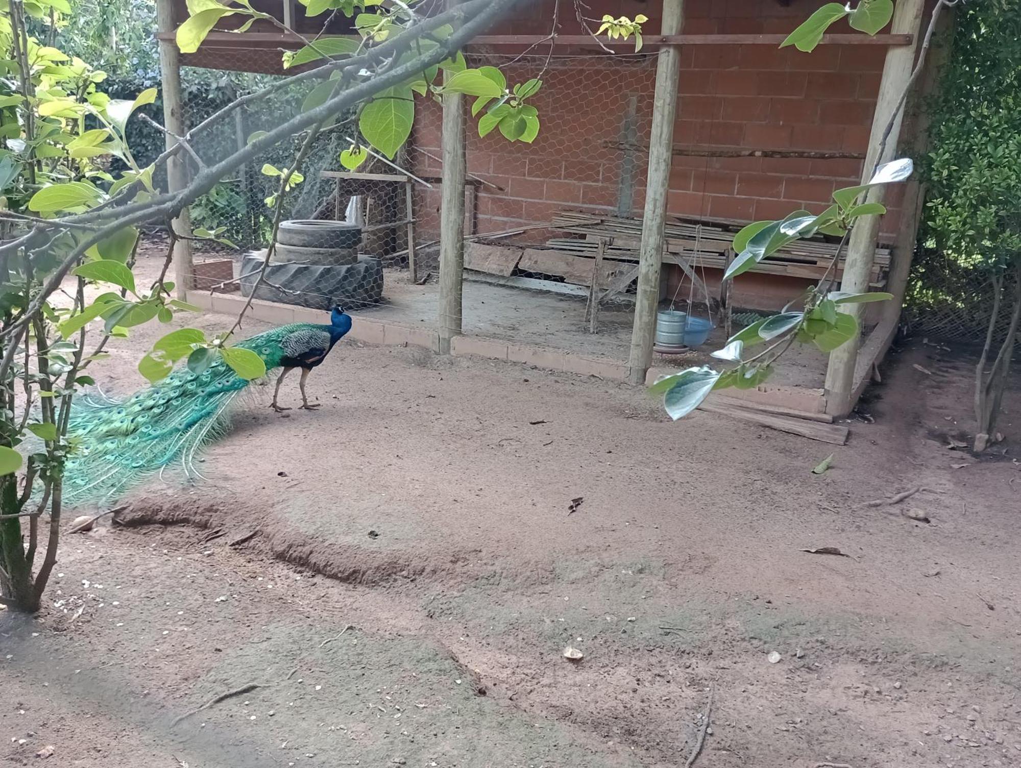 Pousada Chacara Vivalli 올람브라 외부 사진